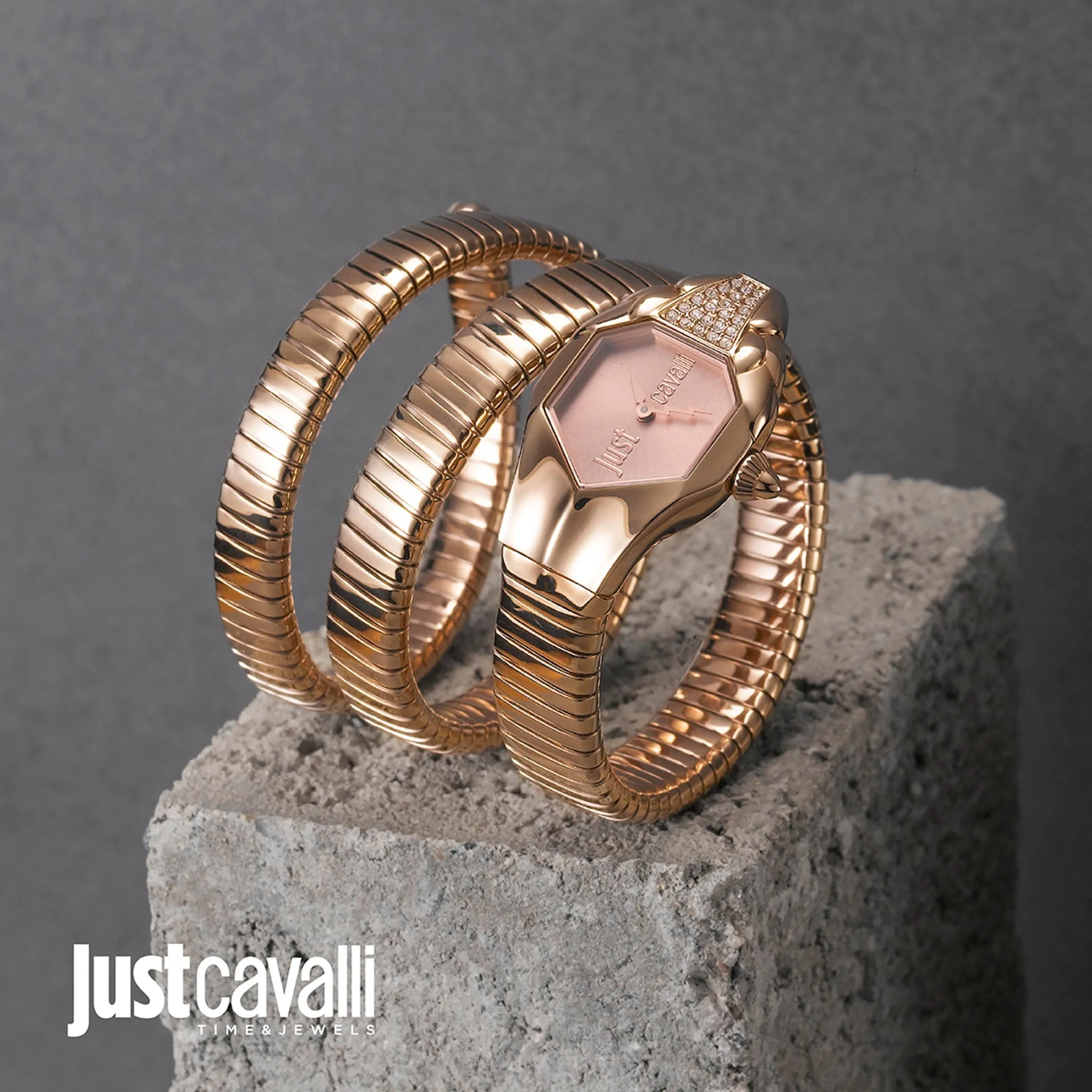 Just Cavalli Womens Stainless Steel Analog Watch JC1L022M0035 - Luxury Designer Timepiece